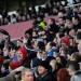 Supporter announcement