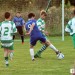 U15 Report: Limerick's Brave Display Falls Short At Pike